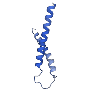 0935_6lo8_J_v1-1
Cryo-EM structure of the TIM22 complex from yeast