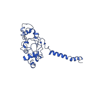 0936_6lod_A_v1-0
Cryo-EM structure of the air-oxidized photosynthetic alternative complex III from Roseiflexus castenholzii