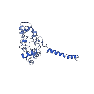 0937_6loe_A_v1-0
Cryo-EM structure of the dithionite-reduced photosynthetic alternative complex III from Roseiflexus castenholzii