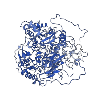 0937_6loe_B_v1-0
Cryo-EM structure of the dithionite-reduced photosynthetic alternative complex III from Roseiflexus castenholzii