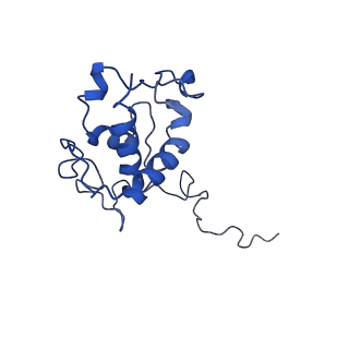 0937_6loe_E_v1-0
Cryo-EM structure of the dithionite-reduced photosynthetic alternative complex III from Roseiflexus castenholzii
