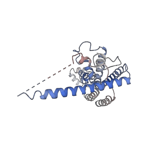0938_6lom_A_v1-1
Structure of CLHM1 from Caenorhabditis Elegans