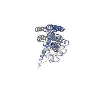 0938_6lom_L_v1-1
Structure of CLHM1 from Caenorhabditis Elegans