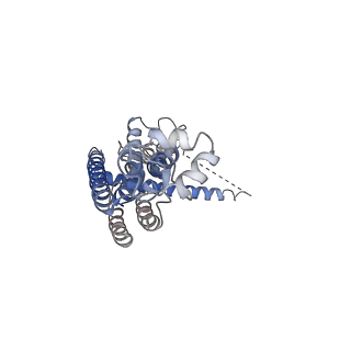 0938_6lom_O_v1-1
Structure of CLHM1 from Caenorhabditis Elegans