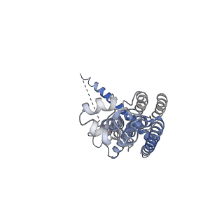 0938_6lom_S_v1-1
Structure of CLHM1 from Caenorhabditis Elegans