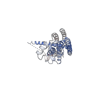 0938_6lom_T_v1-1
Structure of CLHM1 from Caenorhabditis Elegans