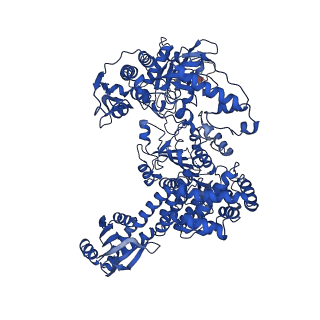 23461_7lo5_A_v1-2
cryoEM structure DrdV-DNA complex