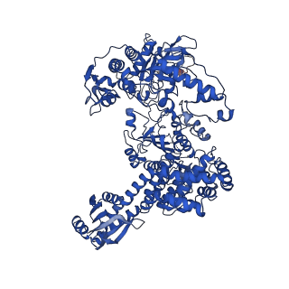 23461_7lo5_A_v1-3
cryoEM structure DrdV-DNA complex