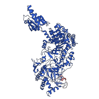 23461_7lo5_B_v1-2
cryoEM structure DrdV-DNA complex