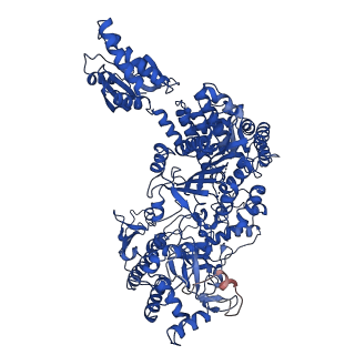 23461_7lo5_B_v1-3
cryoEM structure DrdV-DNA complex