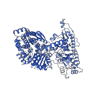 23461_7lo5_C_v1-2
cryoEM structure DrdV-DNA complex
