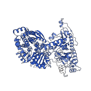 23461_7lo5_C_v1-3
cryoEM structure DrdV-DNA complex