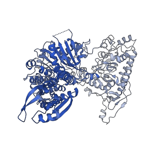 23461_7lo5_D_v1-2
cryoEM structure DrdV-DNA complex