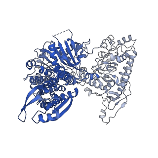 23461_7lo5_D_v1-3
cryoEM structure DrdV-DNA complex