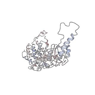 5137_3los_E_v1-2
Atomic Model of Mm-cpn in the Closed State