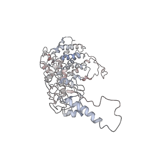 5137_3los_G_v1-2
Atomic Model of Mm-cpn in the Closed State
