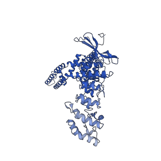 23473_7lp9_A_v1-1
Cryo-EM structure of full-length TRPV1 at 4 degrees Celsius