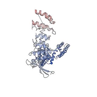 23475_7lpb_C_v1-0
Cryo-EM structure of full-length TRPV1 with capsaicin at 25 degrees Celsius