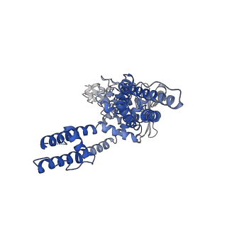 23478_7lpd_A_v1-0
Cryo-EM structure of full-length TRPV1 with capsaicin at 48 degrees Celsius, in an intermediate state, class 2