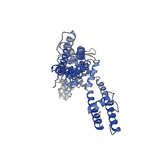 23478_7lpd_B_v1-0
Cryo-EM structure of full-length TRPV1 with capsaicin at 48 degrees Celsius, in an intermediate state, class 2