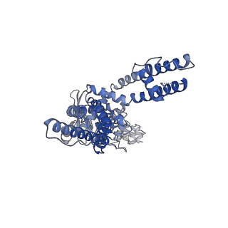 23478_7lpd_C_v1-0
Cryo-EM structure of full-length TRPV1 with capsaicin at 48 degrees Celsius, in an intermediate state, class 2