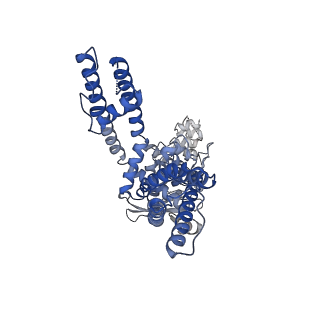 23478_7lpd_D_v1-0
Cryo-EM structure of full-length TRPV1 with capsaicin at 48 degrees Celsius, in an intermediate state, class 2