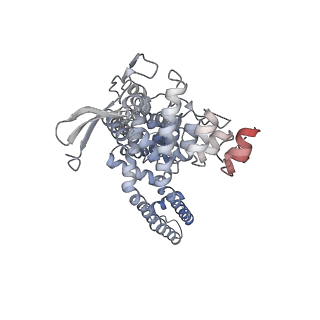 23479_7lpe_B_v1-0
Cryo-EM structure of full-length TRPV1 with capsaicin at 48 degrees Celsius, in an open state, class 1