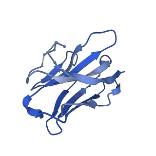 23480_7lpn_D_v1-1
Cryo-EM structure of llama J3 VHH antibody in complex with HIV-1 Env BG505 DS-SOSIP.664