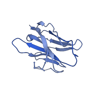 23480_7lpn_H_v1-1
Cryo-EM structure of llama J3 VHH antibody in complex with HIV-1 Env BG505 DS-SOSIP.664