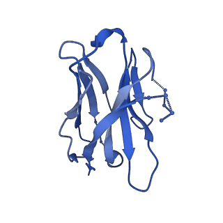 23480_7lpn_I_v1-1
Cryo-EM structure of llama J3 VHH antibody in complex with HIV-1 Env BG505 DS-SOSIP.664