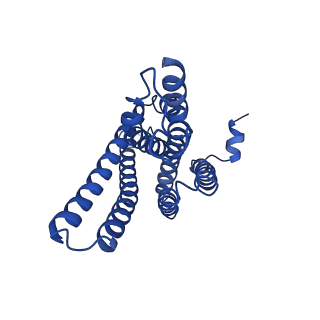 0944_6lqg_C_v1-0
Human gamma-secretase in complex with small molecule Avagacestat