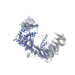 0946_6lqi_A_v1-2
Cryo-EM structure of the mouse Piezo1 isoform Piezo1.1