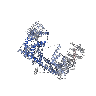 0946_6lqi_A_v1-3
Cryo-EM structure of the mouse Piezo1 isoform Piezo1.1