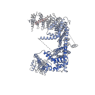 0946_6lqi_B_v1-2
Cryo-EM structure of the mouse Piezo1 isoform Piezo1.1