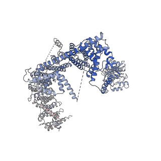 0946_6lqi_C_v1-2
Cryo-EM structure of the mouse Piezo1 isoform Piezo1.1