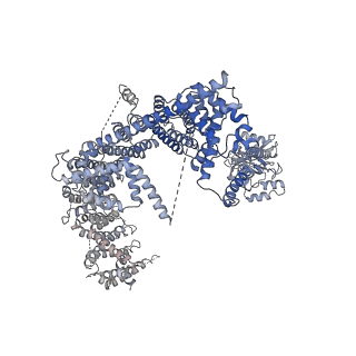 0946_6lqi_C_v1-3
Cryo-EM structure of the mouse Piezo1 isoform Piezo1.1