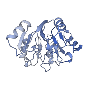 0948_6lqm_6_v1-0
Cryo-EM structure of a pre-60S ribosomal subunit - state C