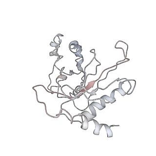 0948_6lqm_A_v1-0
Cryo-EM structure of a pre-60S ribosomal subunit - state C