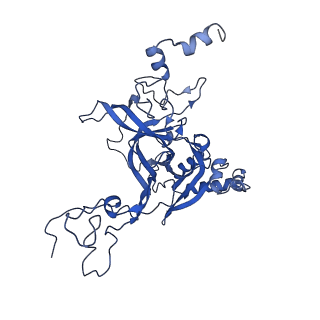0948_6lqm_B_v1-0
Cryo-EM structure of a pre-60S ribosomal subunit - state C