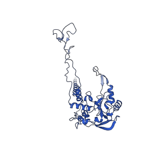 0948_6lqm_D_v1-0
Cryo-EM structure of a pre-60S ribosomal subunit - state C