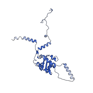 0948_6lqm_G_v1-0
Cryo-EM structure of a pre-60S ribosomal subunit - state C