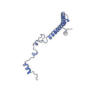 0948_6lqm_H_v1-0
Cryo-EM structure of a pre-60S ribosomal subunit - state C