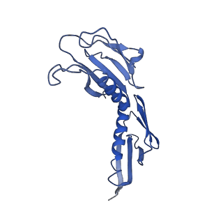 0948_6lqm_I_v1-0
Cryo-EM structure of a pre-60S ribosomal subunit - state C