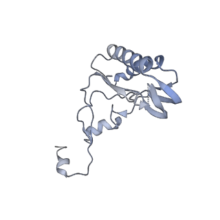 0948_6lqm_J_v1-0
Cryo-EM structure of a pre-60S ribosomal subunit - state C