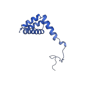 0948_6lqm_K_v1-0
Cryo-EM structure of a pre-60S ribosomal subunit - state C