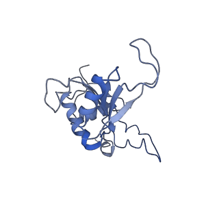 0948_6lqm_N_v1-0
Cryo-EM structure of a pre-60S ribosomal subunit - state C
