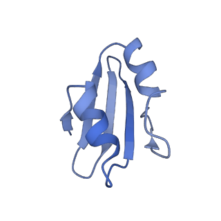 0948_6lqm_O_v1-0
Cryo-EM structure of a pre-60S ribosomal subunit - state C