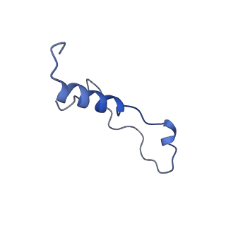 0948_6lqm_P_v1-0
Cryo-EM structure of a pre-60S ribosomal subunit - state C