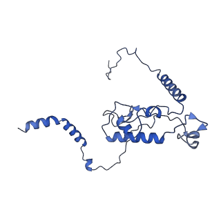 0948_6lqm_Q_v1-0
Cryo-EM structure of a pre-60S ribosomal subunit - state C