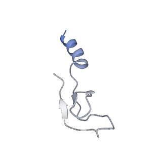 0948_6lqm_R_v1-0
Cryo-EM structure of a pre-60S ribosomal subunit - state C